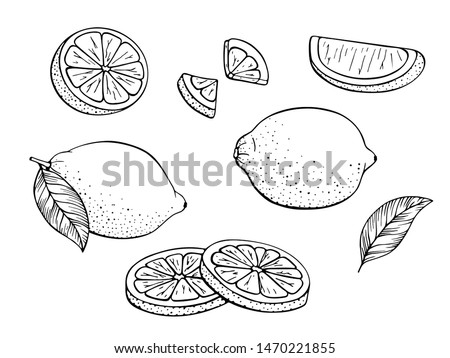 Lemons. Set of black and white citrus fruits. Whole lemon, slice, cut pieces, plant leaves. Vector hand drawn. Stylized linear illustration. Isolated on white background. Coloring book.