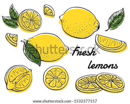 Lemon. Set yellow citrus. Fresh fruits. Whole lemon, slice, cut pieces, flower, plant leaves. Vector. Drawn freehand. Stylized line art illustration. Isolated on white background. Color.