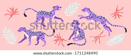 Purple leopard animals and tropical branches.  Hand-drawn modern illustrated set, isolated on pink. Trendy purple wild animals in different poses. Jumping, sitting and walking wild cats.