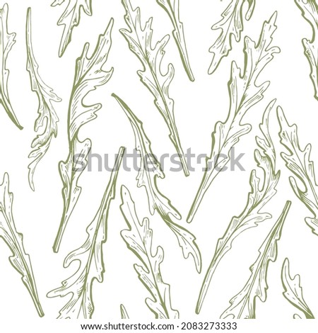 Seamless pattern - arugula collection. Hand drawn outline  illustration of arugula. Arugula leaves for salad. Eco-friendly products. Handwritten graphic technique 商業照片 © 