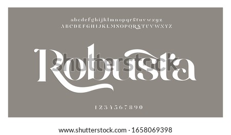 Elegant alphabet letters font and number. swoosh Classic Lettering Minimal Fashion Designs. Typography fonts regular uppercase and lowercase. vector illustration