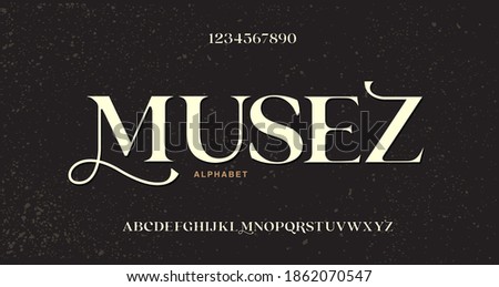 Elegant awesome alphabet letters font. unique serif font. Classic Lettering Minimal Fashion Designs. Typography fonts regular.vector illustration