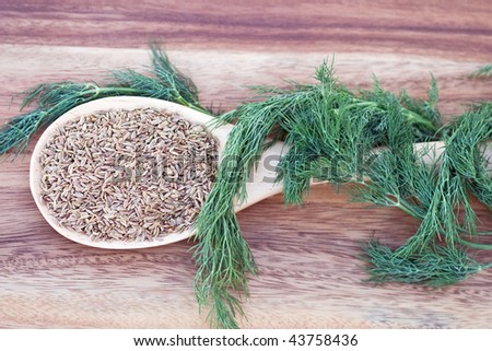 A wooden spoon filled with dill seed and wrapped with dill weed.