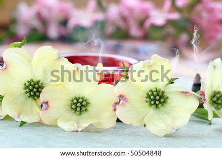 Relaxing candles and incense cones burn behind a role of dogwood blossoms.