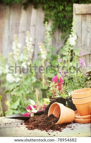 Photo based textured image of a rustic table with terracotta pots, potting soil, trowel and flowers in front of an old weathered gardening shed.