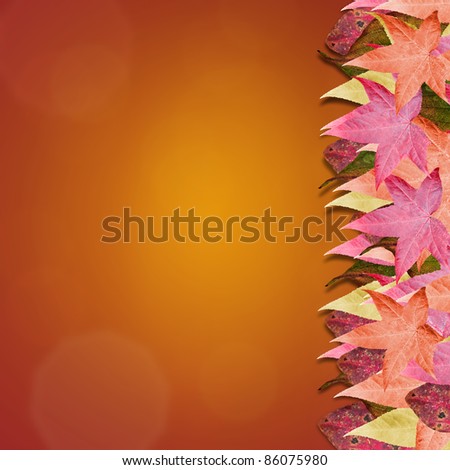 Gradient background with colorful autumn leaves. Room for copy space.