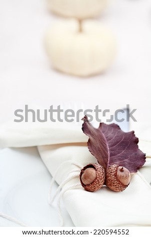 Rustic table decorated for a Thanksgiving meal. Extreme shallow depth of field with selective focus on acorns.