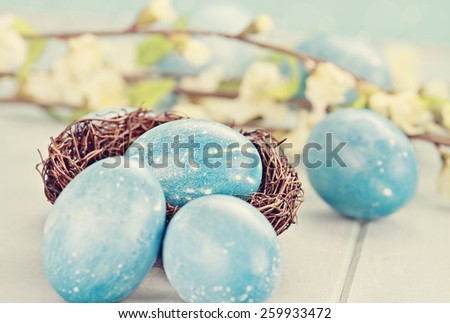Easter eggs colored a natural blue with extreme shallow depth of field. Selective focus on egg in nest.