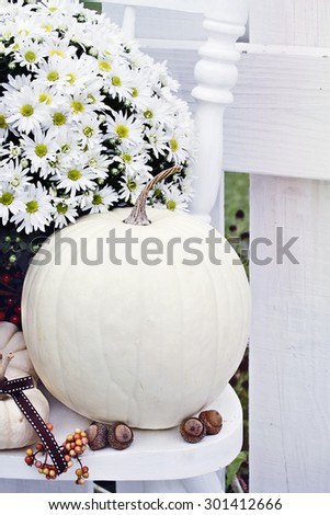 White pumpkins and mums sitting outdoors on an old white chair.