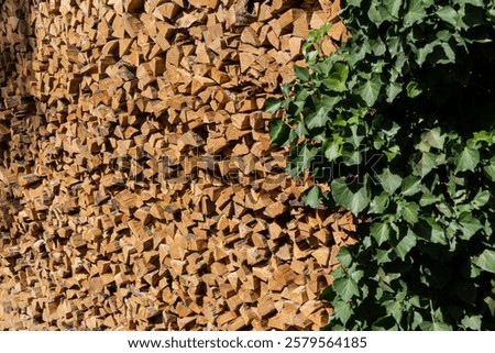 Similar – Foto Bild Gestapeltes trockenes graues Holz für den Kamin im Winter vor einer alten Scheune auf einem Bauernhof in Rudersau bei Rottenbuch im Kreis-Weilheim-Schongau in Oberbayern