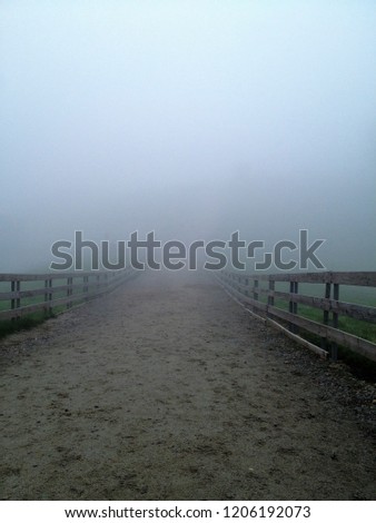 Similar – Image, Stock Photo sheep fault Environment