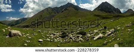 Green meadows, alpine meadows, mountains of Asia, panorama