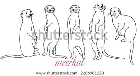 doodle style hand drawn, The vector set of cartoon meerkat in many poses