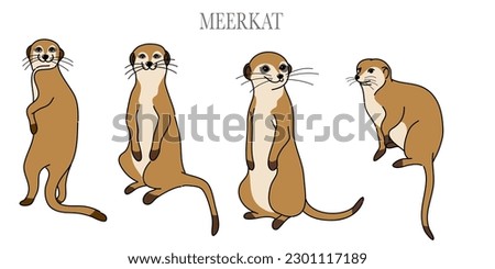 doodle style hand drawn, The vector set of cartoon meerkat in many poses