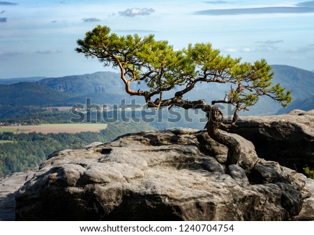 Similar – Foto Bild Lilienstein am Horizont