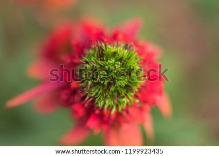 Shutterstock Puzzlepix