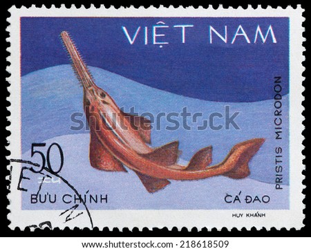 VIETNAM - CIRCA 1980: A Stamp printed in VIETNAM shows a shark Pristis Microdon, series, circa 1980