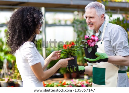 Woman choosing flowers in a greenhouse