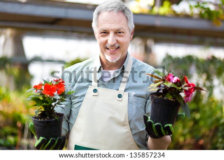 Happy gardener in a greenhouse holding two vases of flowers