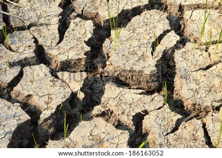 Dry ground fissures of the soil moisture deficit on drought.