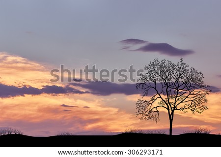 Silhouette of lone tree against the evening cloudy sky with sun rays with purple tint