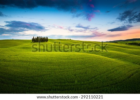 Italian countryside, during sunset. Cypresses over golden hills with colorful sky.