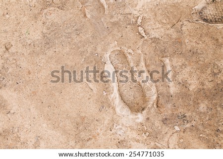 Men\'s footprints on frozen ground on winter morning