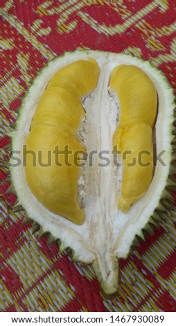 Download 93+ Gambar Durian Kunyit  Gratis HD