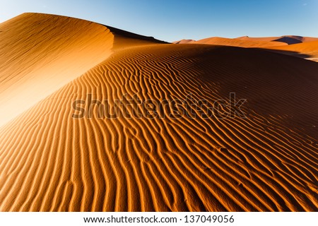 Sunlit Namibian desert dunes sand ripple pattern rises to top ridge. This desert is the oldest in the world completely devoid of surface water.