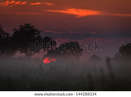 Mist hangs low as sun rises over the grasslands of Okavango Delta in Botswana, Africa