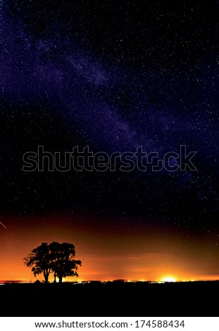 Milky Way, tree and city lights