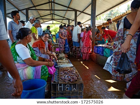 SIOLIM, GOA, INDIA - CIRCA DECEMBER 2013: Sale of fish and seafood on fish market. Shopping row.