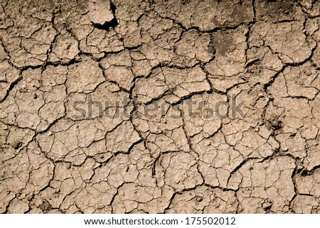 cracked soil texture on the ground in hot summer