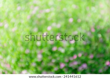 Bright green and pink blur bokeh abstract light flora background.