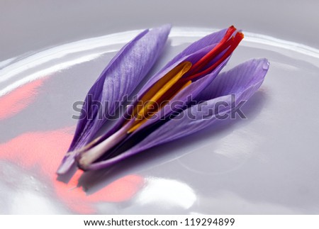 Saffron Crocus Flower, Dissected