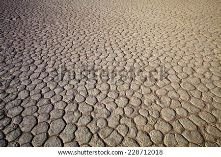 cracked dry land makes regular tiles, desert Sossusvlei, Namibia