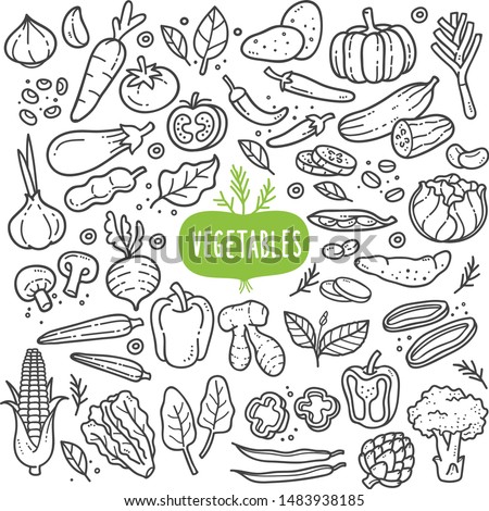 Vegetables doodle drawing collection. vegetable such as carrot, corn, ginger, mushroom, cucumber, cabbage, potato, etc. Hand drawn vector doodle illustrations in black isolated over white background. 商業照片 © 