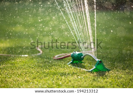 Lawn sprinkler spaying water over green grass. Irrigation system