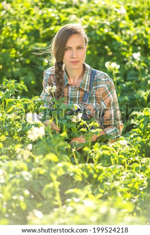 Gardening, gardener, beautiful farmer working in vegetable garden on a sunny summer day