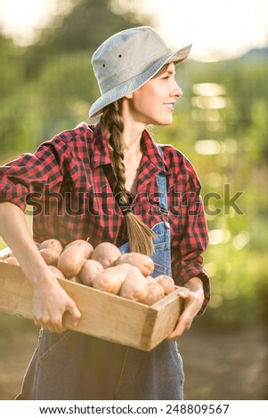 lovely gardener carrying crate with freshly harvested vegetables in garden, blurred background, sunshine, backlight