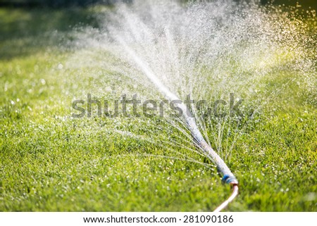 Lawn sprinkler spaying water over green grass. Irrigation system. Micro spray tape. backlight, shallow depth of field
