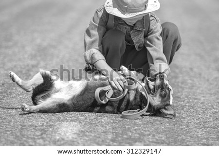 Black and white boy play with dog, focus on dog