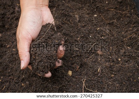 Hand holding soil,Hand dirty with soil