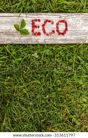 Green grass and gray board. Letter ECO made from fresh berries. background to promote eco-friendly products