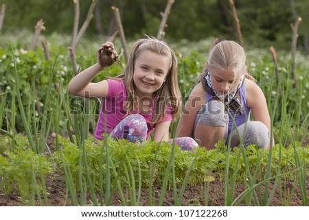 A pretty two sister (age 7 and 9) pulling weeds out of the vegetable garden. A girl shows deracinate weeds.