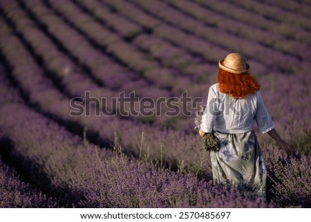 Similar – Foto Bild spaziergang Landwirtschaft