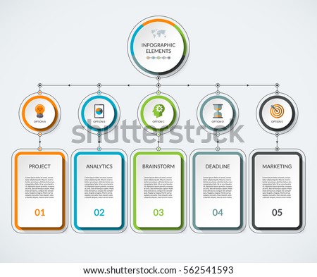 Infographic template with 5 option circles and columns. Modern minimalistic vector banner what can be used as chart, diagram, graph, table, workflow layout for web, report, business presentation