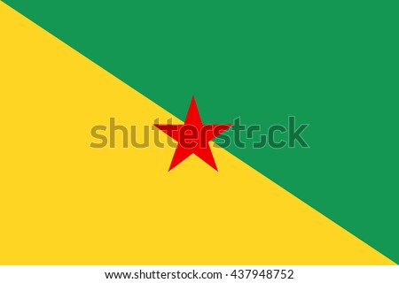 Flat French Guiana flag vector background