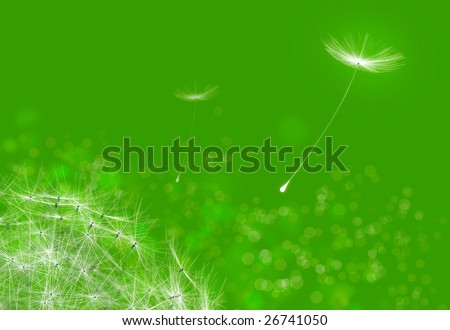 Dandelions flying on a green tinted background
