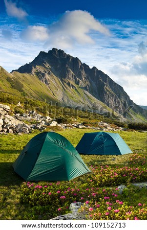 two tents at mountain scenery meadow and flowers
